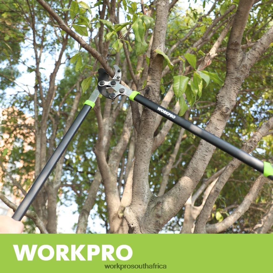 ZA WORKPRO Anvil Lopper, 32 Inch Branch Cutter with Compound Action, Heavy Duty Garden Tree Trimmer Morden 4B8V2T282 Tool