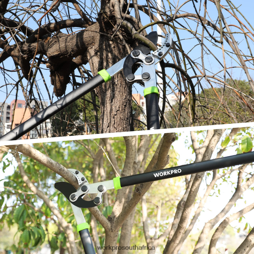 ZA WORKPRO Anvil Lopper, 32 Inch Branch Cutter with Compound Action, Heavy Duty Garden Tree Trimmer Morden 4B8V2T282 Tool