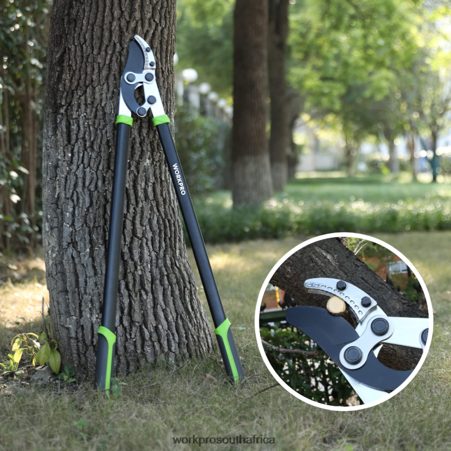 ZA WORKPRO Anvil Lopper, 32 Inch Branch Cutter with Compound Action, Heavy Duty Garden Tree Trimmer Morden 4B8V2T282 Tool