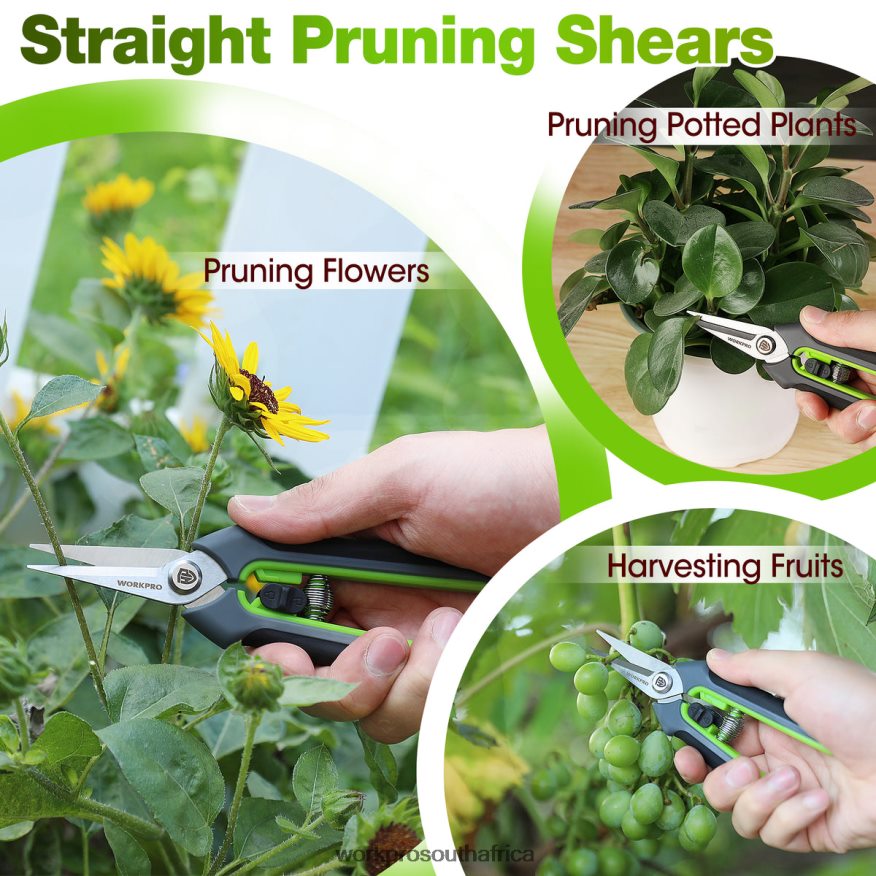 ZA WORKPRO Garden Pruning Shears 2 Pack, Bypass Pruning Shears and Straight Garden Scissors Morden 4B8V2T280 Tool