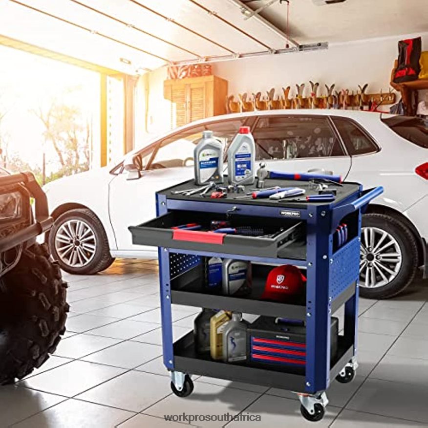 ZA WORKPRO Premium 2-Drawer Rolling Tool Cart, Heavy Duty Utility Industrial Service Cart Storage Organizer with Wheels and Locking System Useful 4B8V2T16 Storage